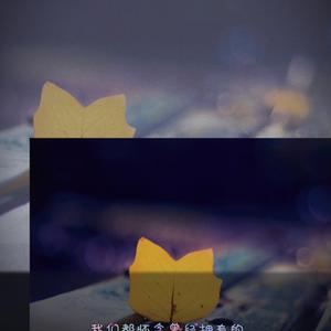 男同gay做爱视频
